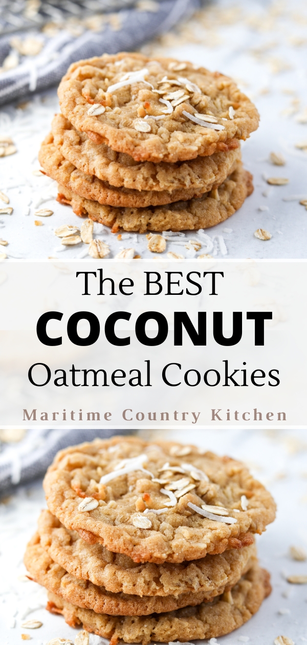 A stack of oatmeal cookies garnished with oats and coconut.