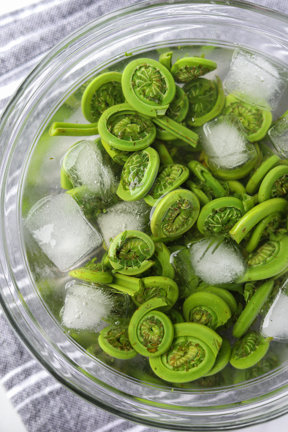 A bowl of ice water with fiddleheads.