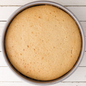 A cake pan filled with freshly baked white cake on a white background.