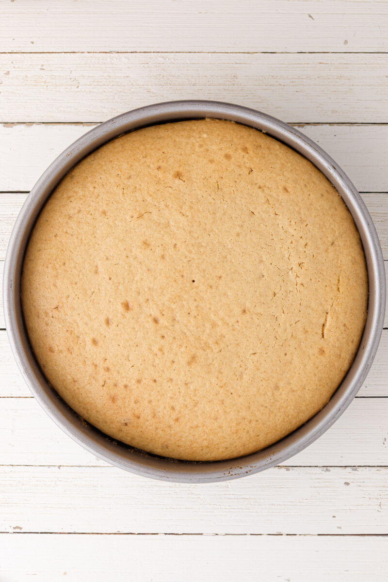 A cake pan filled with freshly baked white cake on a white background.